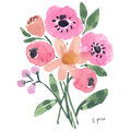 Image Not Available